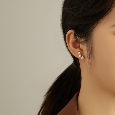 18K Goldplattiert 925 Sterling Silberstern Kubik Zirkonia Stud Ohrringe für Frauen Accessoires