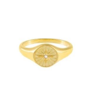 Customisierte Sterling Silber Signet Ring Frauen 18K Gold Damen Signet Ringe